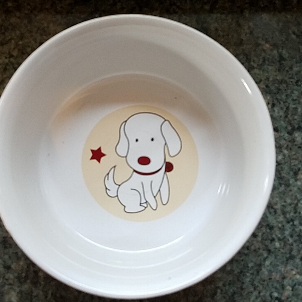 Dog Dish
